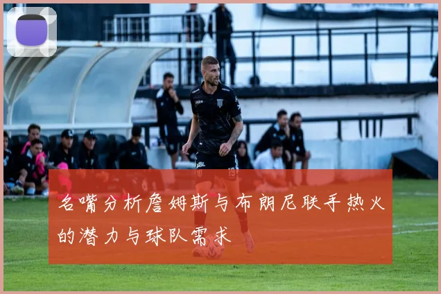 名嘴分析詹姆斯与布朗尼联手热火的潜力与球队需求